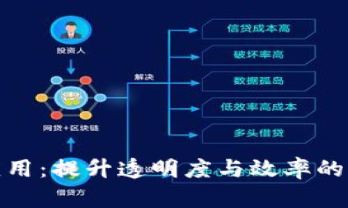 最新区块链政务应用：提升透明度与效率的未来政府解决方案